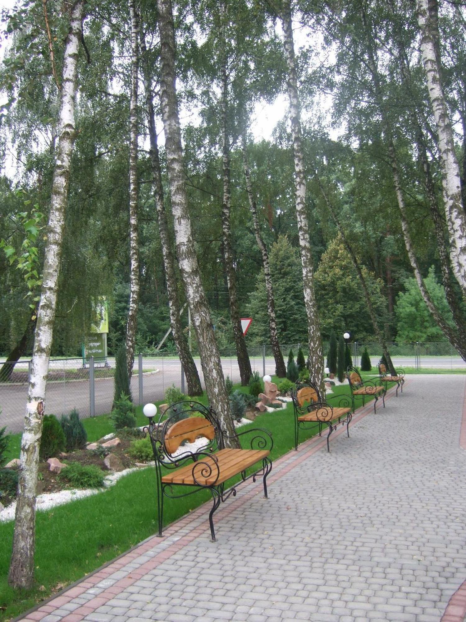 Готель-Ресторан Зелений Гай Копачувка Екстер'єр фото